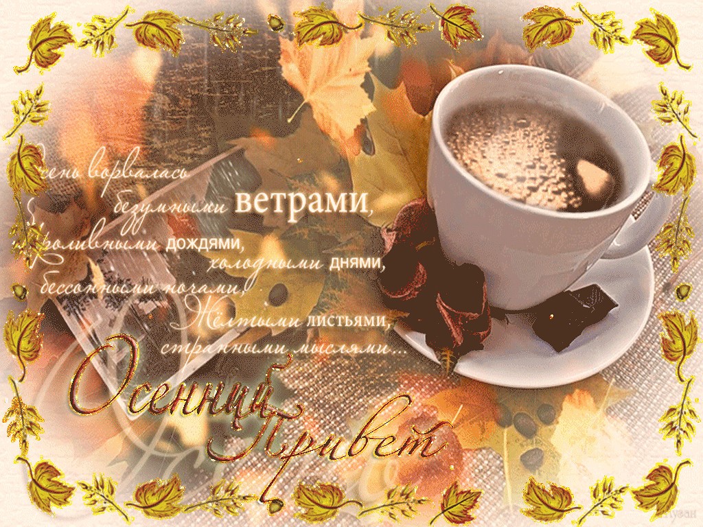 Доброе осеннее утро красивое пожелание. Доброго осеннего утра и хорошего дня. Утро осень кофе с пожеланием доброго. Утро добрые пожелания кофе осенний. Доброе осеннее утро с кофе.
